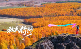 ���ױ���������ѧ�컨��