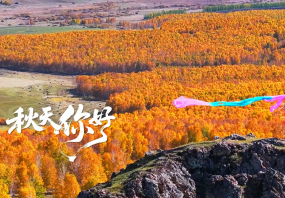 ���ױ���������ѧ�컨��